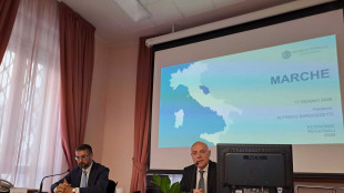 Bankitalia, Pil Marche +0,5% nel 2025, quadro geopolitico frena l'economia