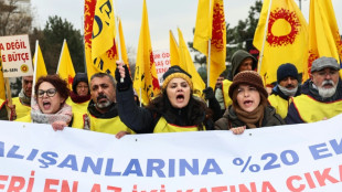 'We can't make ends meet': civil servants protest in Ankara