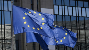 A Bruxelles, la rentr&eacute;e XXL des lobbyistes