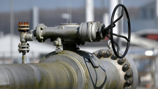 Einfuhrstopp f&uuml;r russisches Gas bleibt umstritten