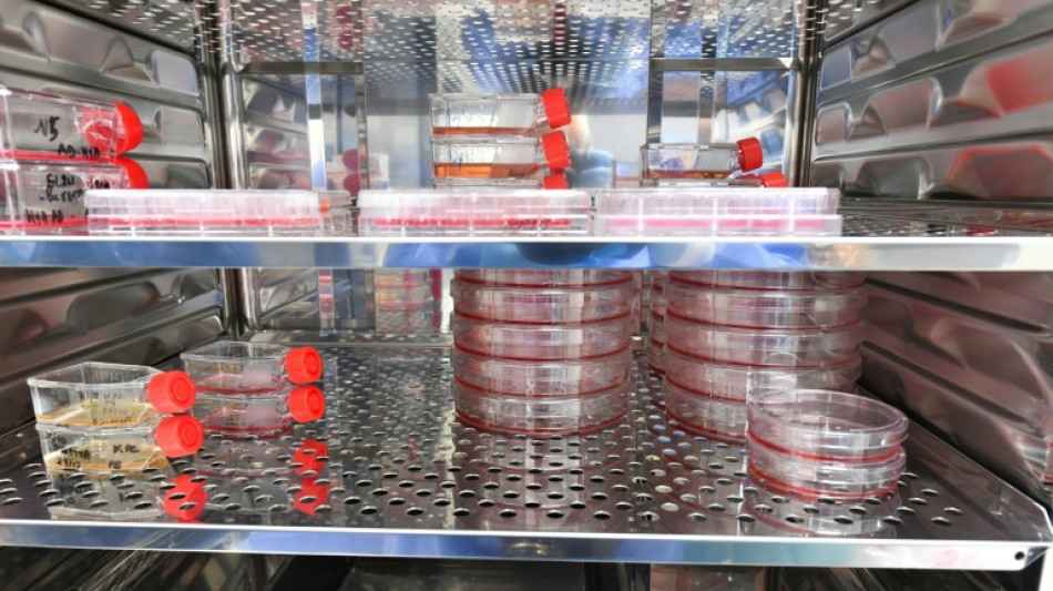 Cancers, immunit&eacute;: les mille et une promesses de l'ARN messager dans un laboratoire d'Orl&eacute;ans