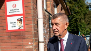 Czech billionaire ex-PM's party leads in parliamentary vote