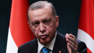 La Turquie approuve l'adh&eacute;sion de la Finlande &agrave; l'Otan 