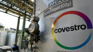 Du p&eacute;trole au sucre, la longue route de la chimie allemande vers la biomasse