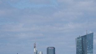 Schnabel, serve rialzo tassi Bce, inflazione sopra il 2% a lungo
