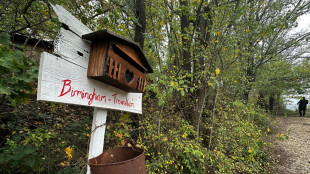 Giudici, genitori dei bimbi nel bosco abbattano il muro di diffidenza