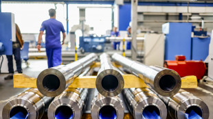 Istat, fatturato dell'industria a marzo +4,4% annuo, servizi +4,6%