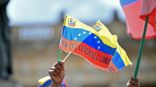 'Finalmente': di&aacute;spora venezuelana comemora queda de Maduro