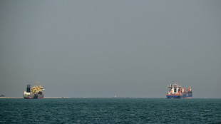 What cargo ships are passing Hormuz strait?