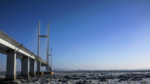 China-North Korea bridge opens, 12 years late