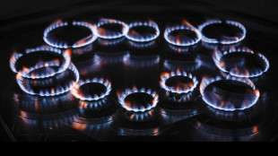 Il gas si conferma in forte calo sulla piazza Ttf di Amsterdam