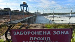 L'arm&eacute;e ukrainienne avance dans le sud, Kiev accuse Moscou de freiner les exportations de bl&eacute;