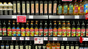 El sector del aceite de oliva busca soluciones frente al cambio clim&aacute;tico