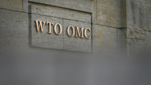 WTO-Ministertreffen in Genf von Krieg und Krisen &uuml;berschattet
