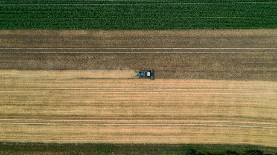 Erzeugerpreise f&uuml;r Agrarprodukte erneut stark gestiegen