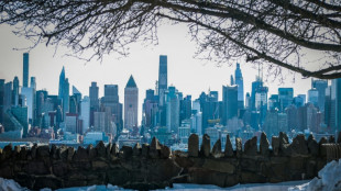 Nueva York registra 13 muertes relacionadas con el fr&iacute;o desde finales de enero