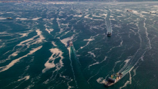 Casi 3.000 vacas procedentes de Uruguay bloqueadas en barco frente a Turqu&iacute;a por falta de certificados