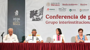 Fuga di petrolio nel Golfo del Messico, Pemex ammette responsabilit&agrave;