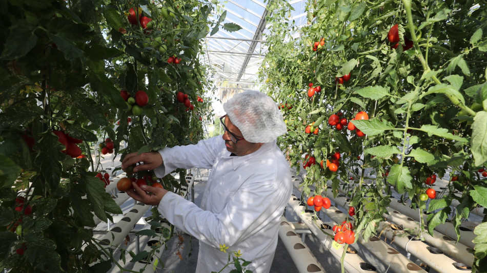 Wef, l'economia green varr&agrave; 7.000 miliardi di dollari nel 2030