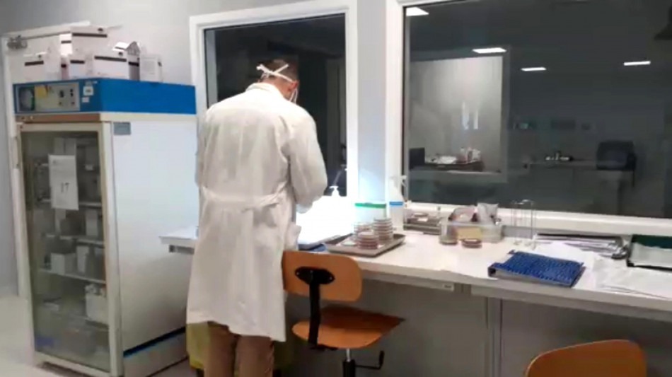 Un milione di dollari per studiare la flessibilità del cervello