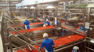 Da Bcc Iccrea e Cdp contratto di filiera per 31 milioni con Conserve Italia