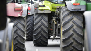 Menschen st&uuml;rzen von Traktoranh&auml;nger: Vier teils schwer Verletzte