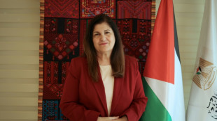 Reconnaissance de la Palestine: un message à Israël sur "les illusions" de l'occupation, selon la diplomatie palestinienne