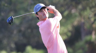 Hammer grabs RSM Classic lead 