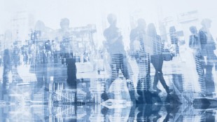 Alset AI Appoints Chief Executive Officer Adam Ingrao to Board of Directors